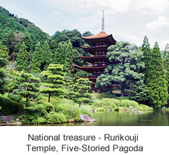 National treasure - Rurikouji