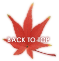 BACK TO TOP
