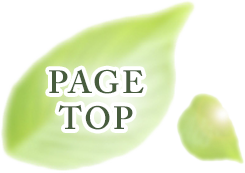 PAGE TOP