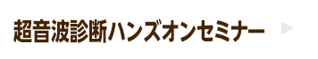 超音波診断ハンズオンセミナー