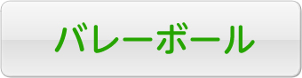 バレーボール