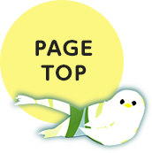 PAGE TOP