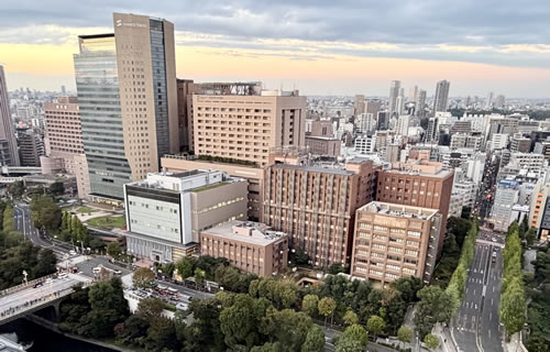 Institute of SCIENCE TOKYO Yushima Campus